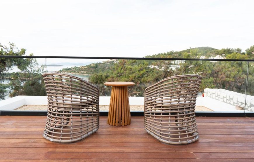 Executive Suite with Terrace