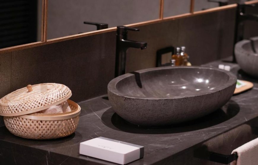 Executive Suite with Terrace