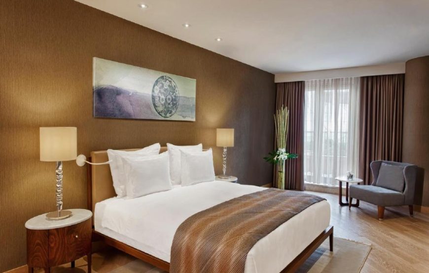 2+1 Apartment With Bosphorus Terrace