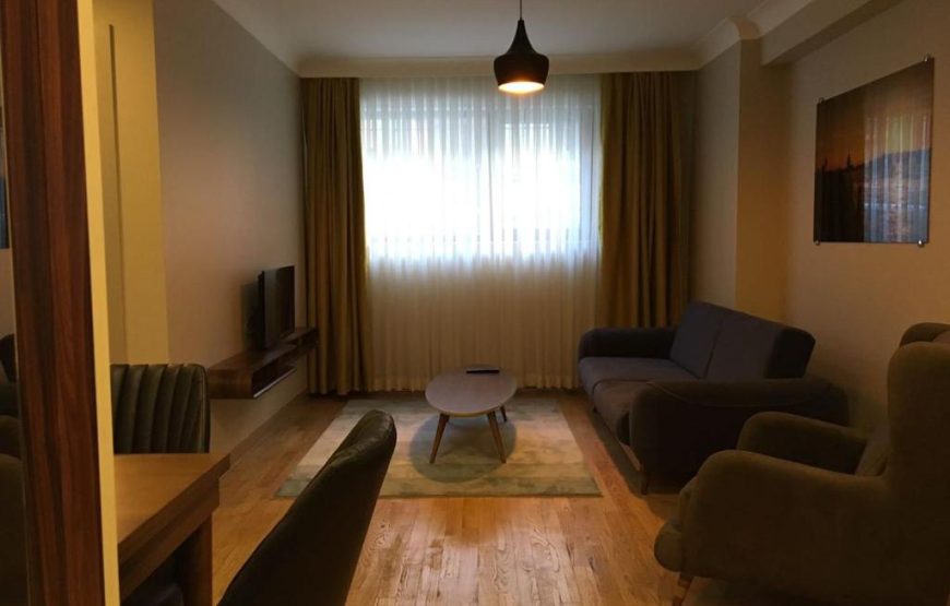 One Bedroom Apartment