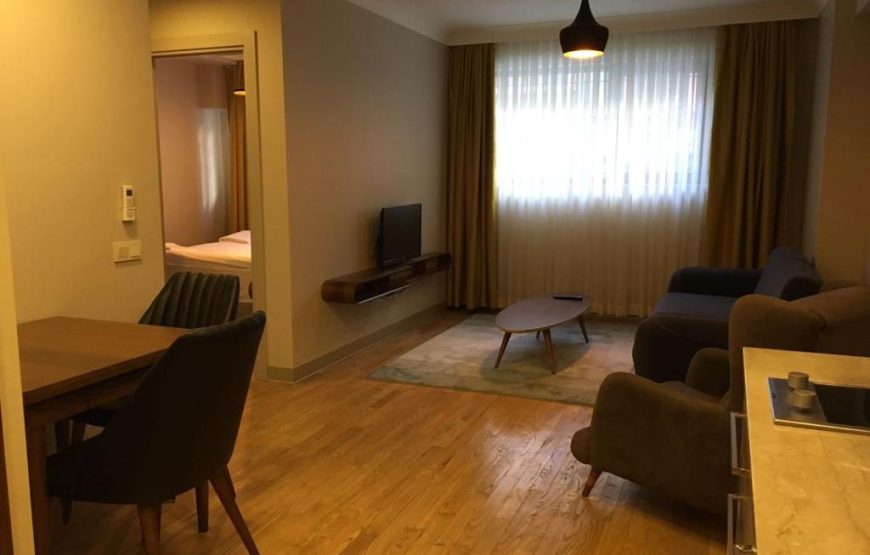 One Bedroom Apartment