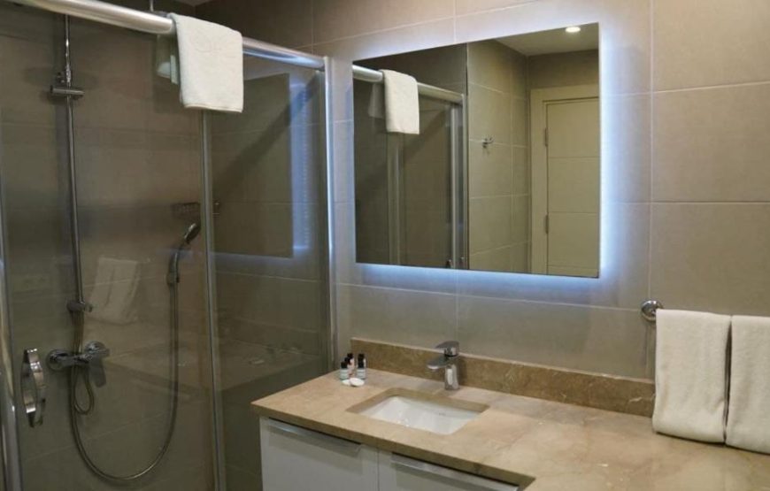 One Bedroom Apartment