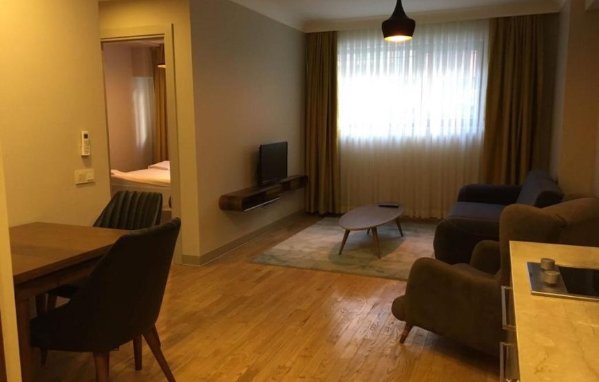 One Bedroom Apartment