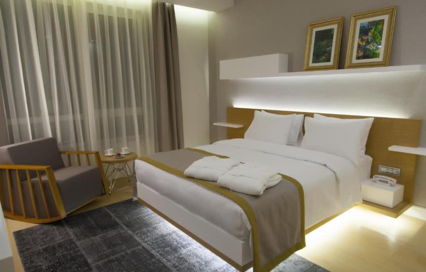 Deluxe One-Bedroom Apartment