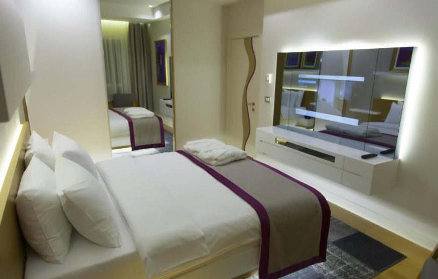 Deluxe One-Bedroom Apartment