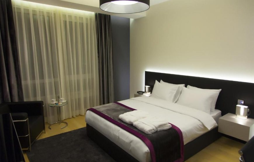 Deluxe One-Bedroom Apartment