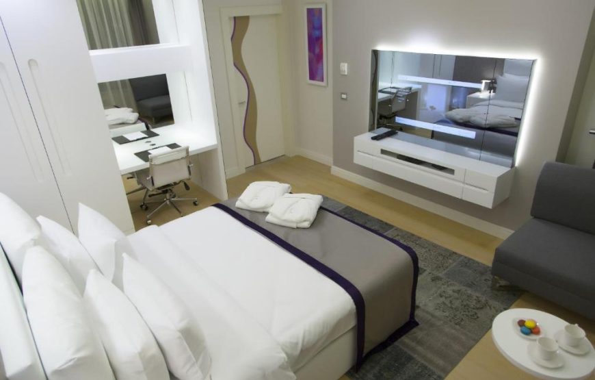 Deluxe One-Bedroom Apartment