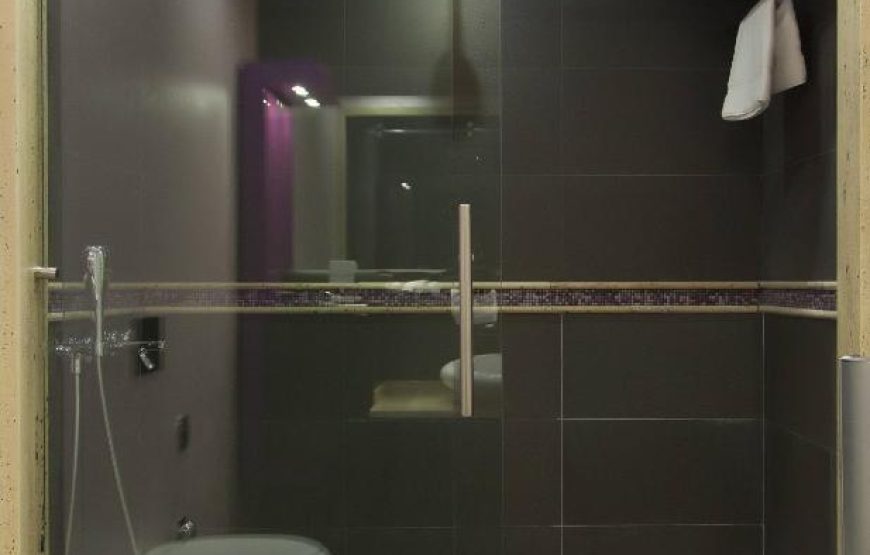 Deluxe One-Bedroom Apartment