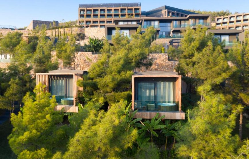 Forest Room with Sea View