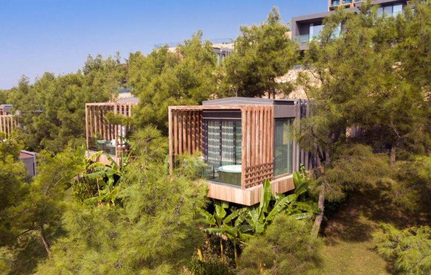 Forest Room with Sea View