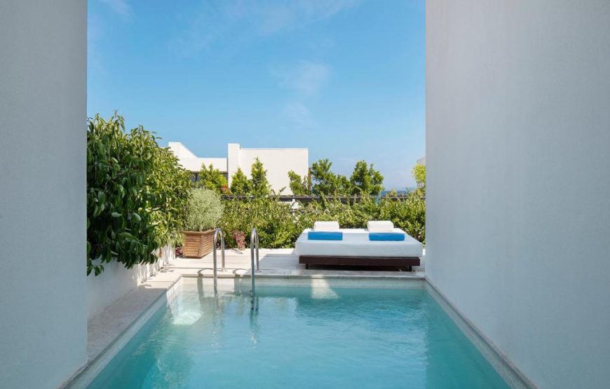 Junior Suite with Pool