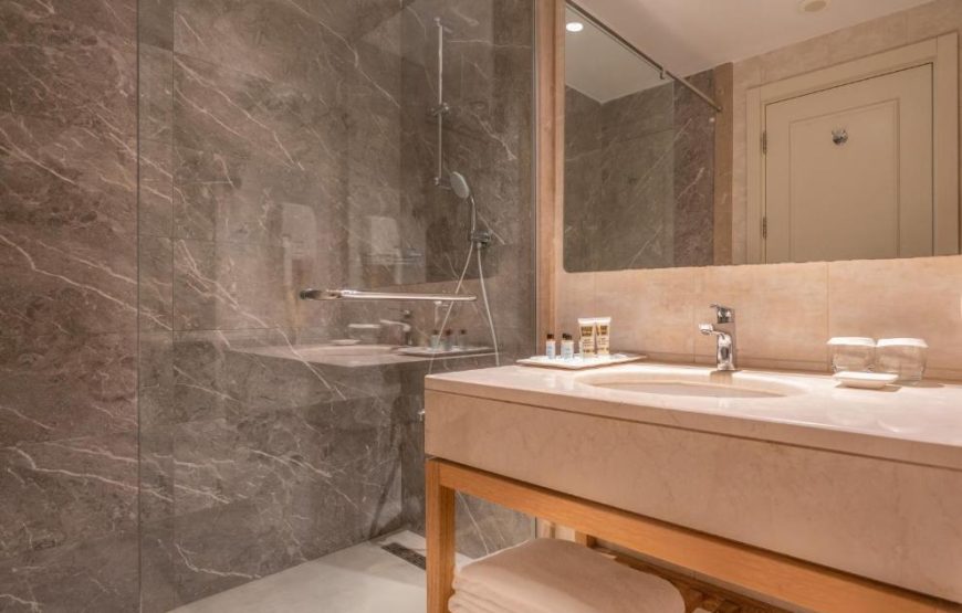 Standard Room with Land View