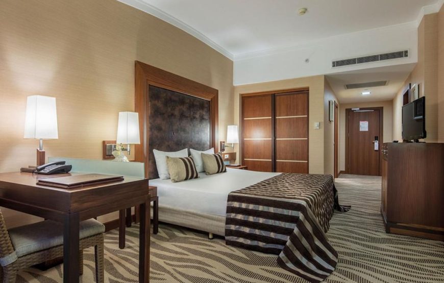 Standard Room with Mountain View