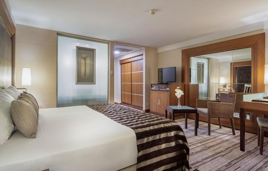 Standard Room with Mountain View