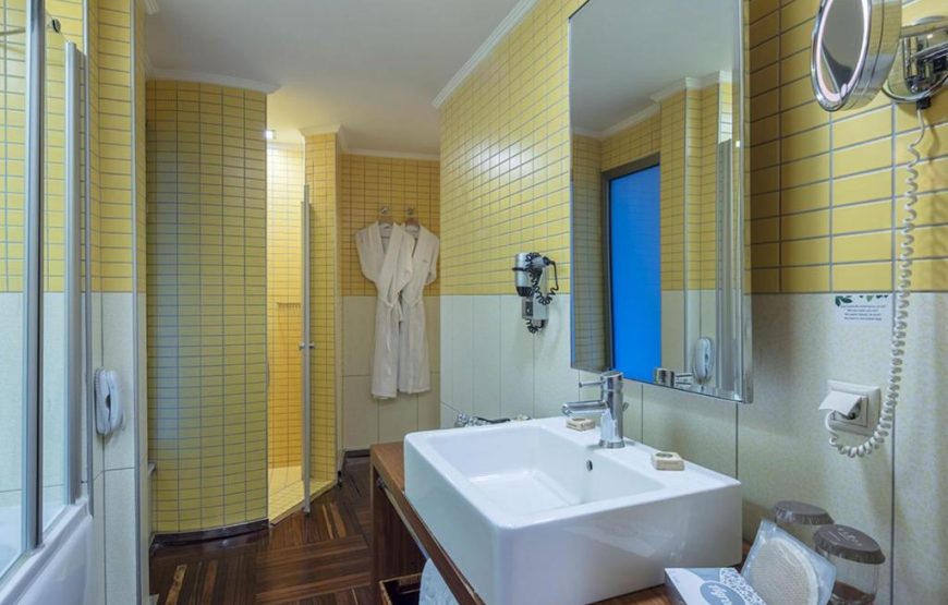 Standard Room with Mountain View