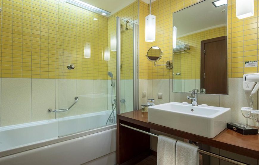 Standard Room with Mountain View